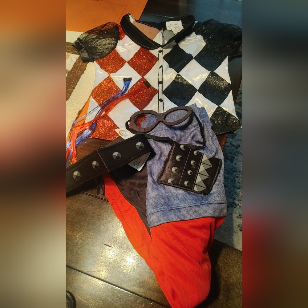 Harley Quinn Costume Set (kids)